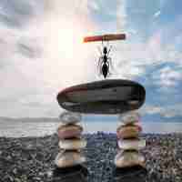 ai助​手‍功﻿能‍